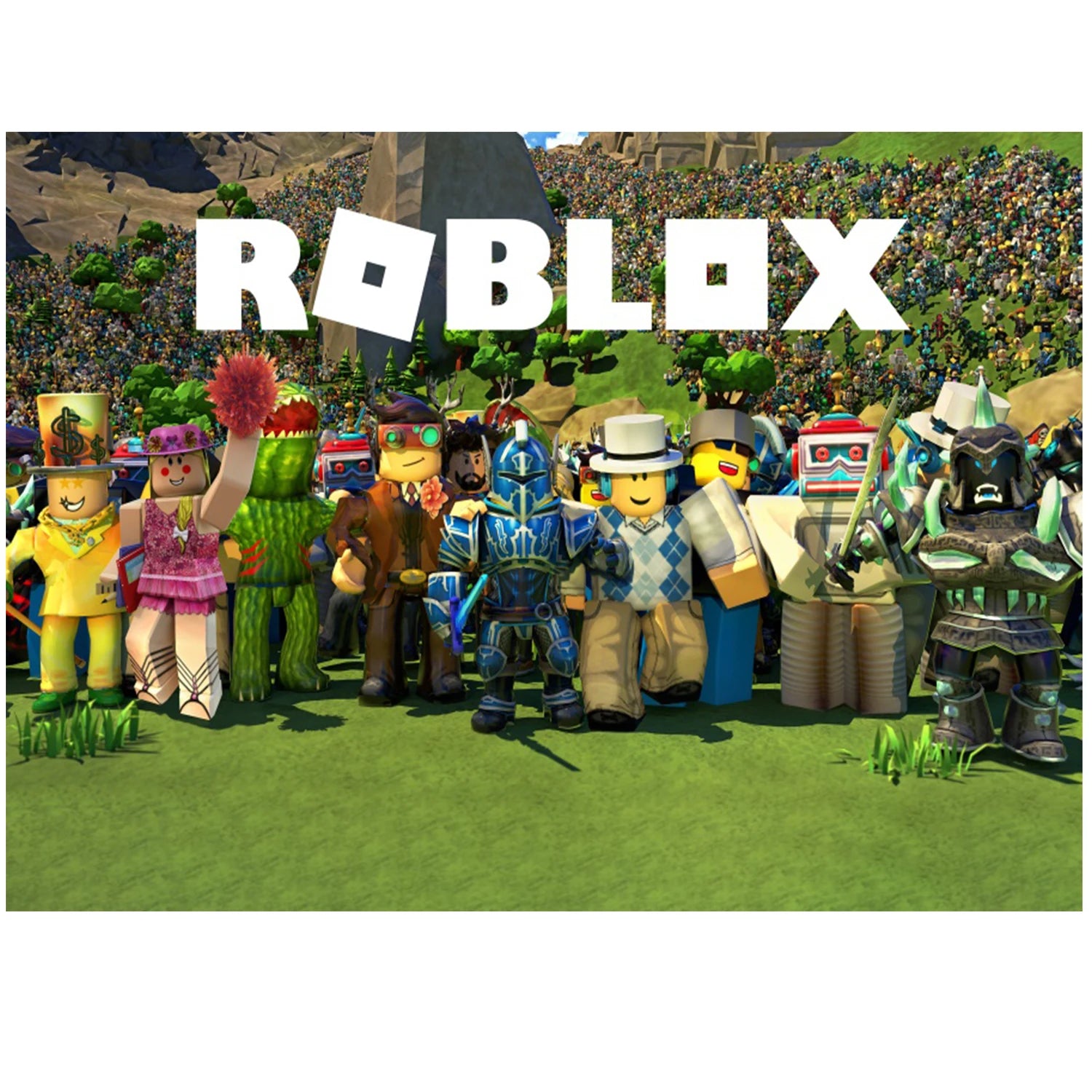 Blox theme Game Party Decoration Backdrops
